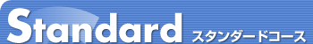 �X�^���_�[�h�R�[�X