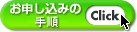 ���\�����݂̎菇